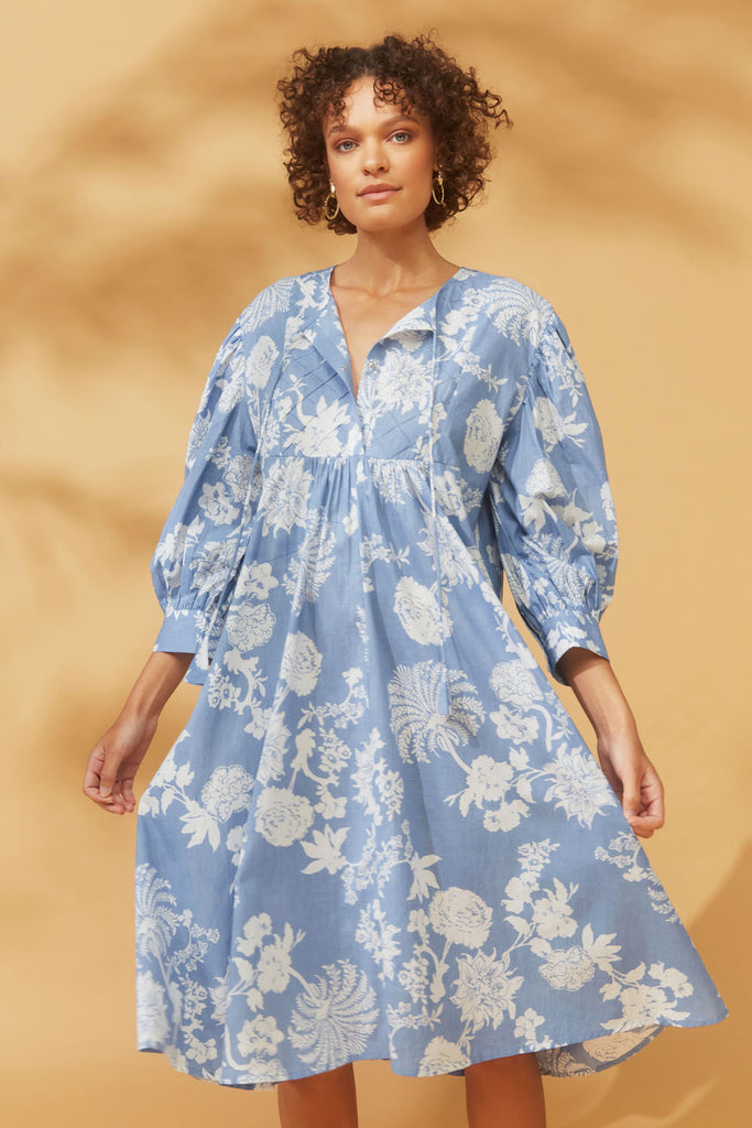 Coast amelia outlet dress